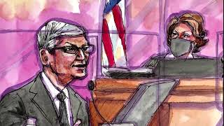 Apple CEO Tim Cook takes stand in antitrust trial