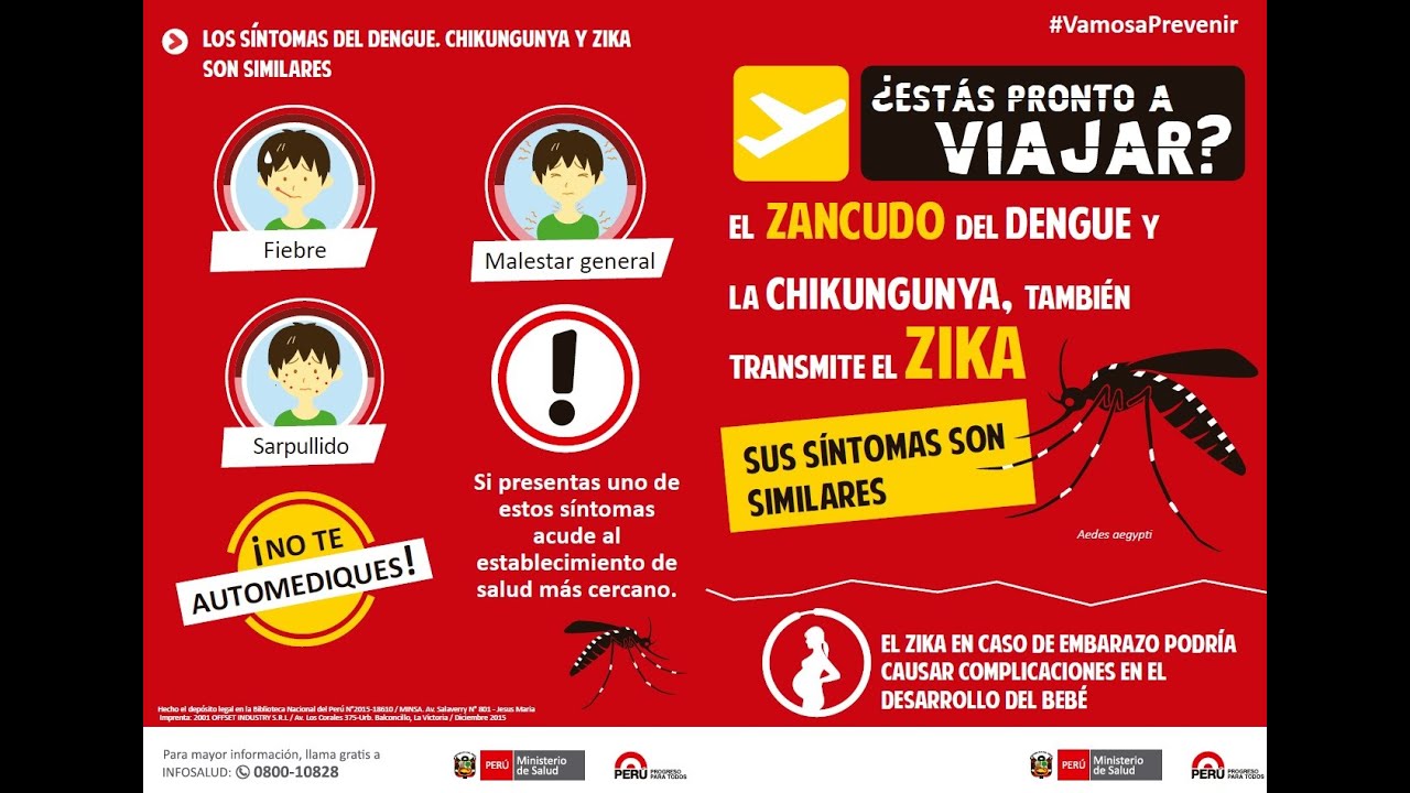 Recomendaciones para prevenir el Dengue, Chikungunya y Zika - YouTube