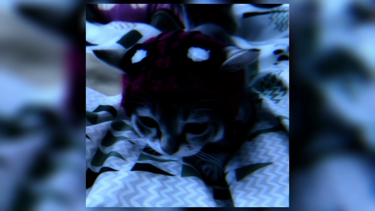 guti - girl of my dreams★(speed up)