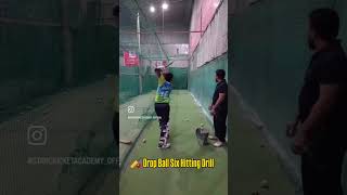 🏏 Drop Ball Six Hitting Drill #boost #fyp #ipl #practice #cricketlover #cricket #cricfoot #fielding