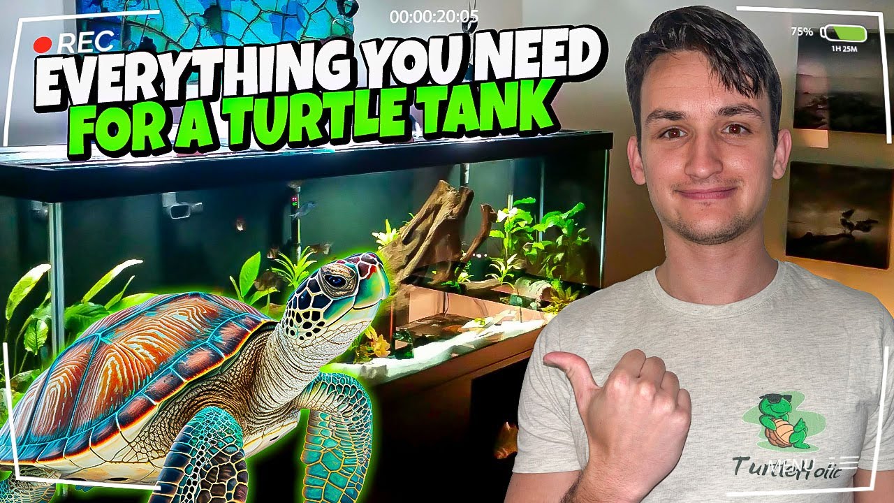 The Best Red Eared Slider Tank in the World - TurtleHolic