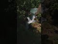4K Silent Nature Asset: Flowing River & Lush Forest Canopy (No Sound) #Shorts