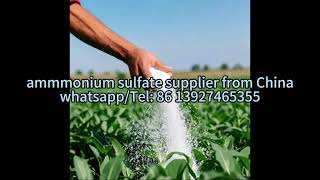 Ammmonium Sulfate supplier