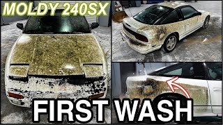 Disaster Barnyard Find | Extremely Moldy 240SX | First Wash Ever | Insane Car Detailing Restoration! by M.A.D. DETAILING 567,347 views 8 months ago 37 minutes