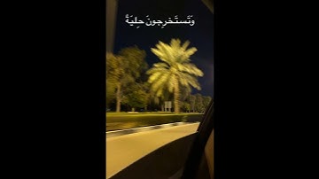 ﴿وَما يَستَوِي البَحرانِ هذا عَذبٌ فُراتٌ سائِغٌ شَرابُهُ وَهذا مِلحٌ أُجاجٌ﴾ _سورة فاطر #quran