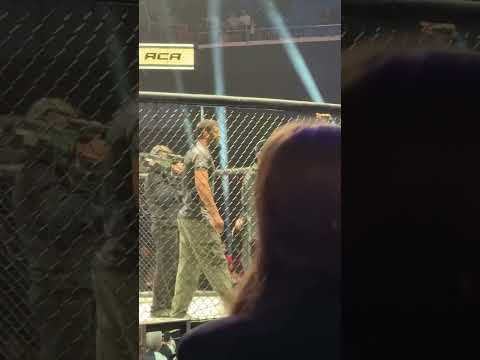 #хамзатчимаев #хамзат_чимаев #бои #юфс #ufc #mma #khamzatchimaev