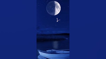 قرآن كريم🌷تلاوة بصوت جميل جدا🌷(فَإِذَا قَضَى أَمْرًا فَإِنَّمَا يَقُولُ لَهُ كُن فَيَكُونُ)🌻مقاطع🌹