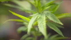 Medical marijuana bill passes Georgia House