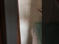9 July 2017 