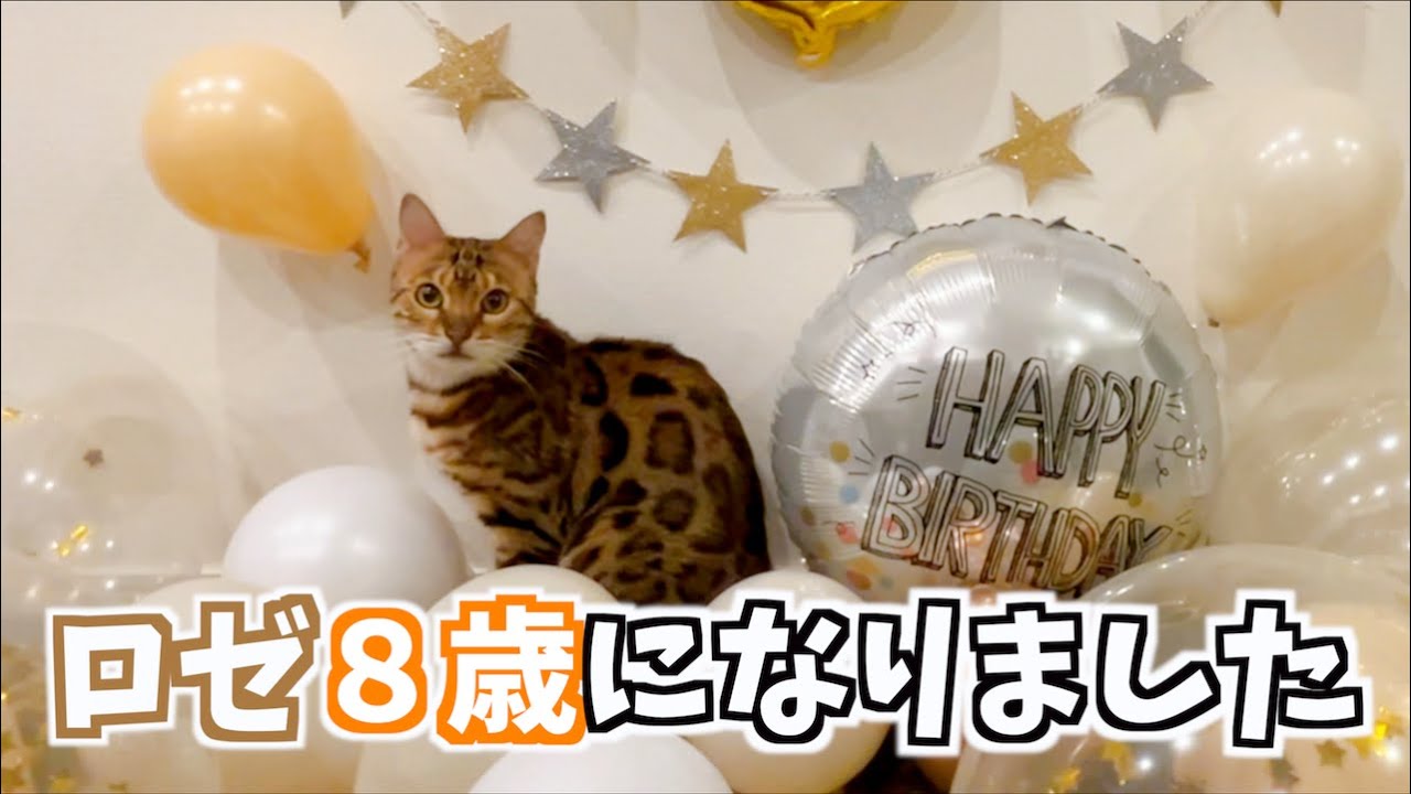 ロゼのめでたい8歳のお誕生日会 - YouTube
