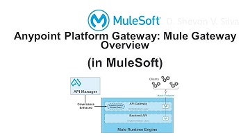 Anypoint Platform Gateway: Mule Gateway Overview (in MuleSoft)