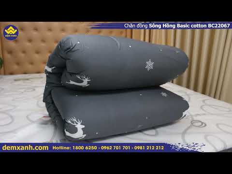 Video Cận cảnh| Chăn đông Sông Hồng Basic cotton BC22067 - youtube