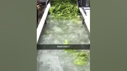 máy sục rửa rau củ quả, máy rửa sục khí rau lá, máy sục rửa rau củ quả sục khí băng tải 0909134877