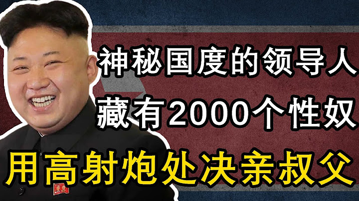 玩弄2000個性奴，國家只有一個頻道，看好萊塢電影要判死刑，殺害親哥，用高射炮炸死叔父，最神秘的朝鮮領導人：金正恩 - 天天要聞