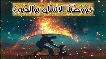 وَوَصَّيْنَا الإنْسَانَ بِوَالِدَيْهِ || ادريس ابكر || سورة لقمان || حالات واتس اب دينية ||