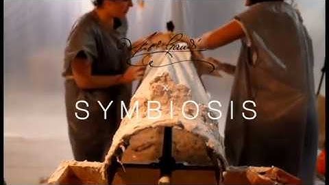 BIFURCATION-  SYMBIOSIS - IAAC