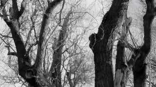 Rhythm and the Raven (Tyson Haskins) @ProjectEDvideos