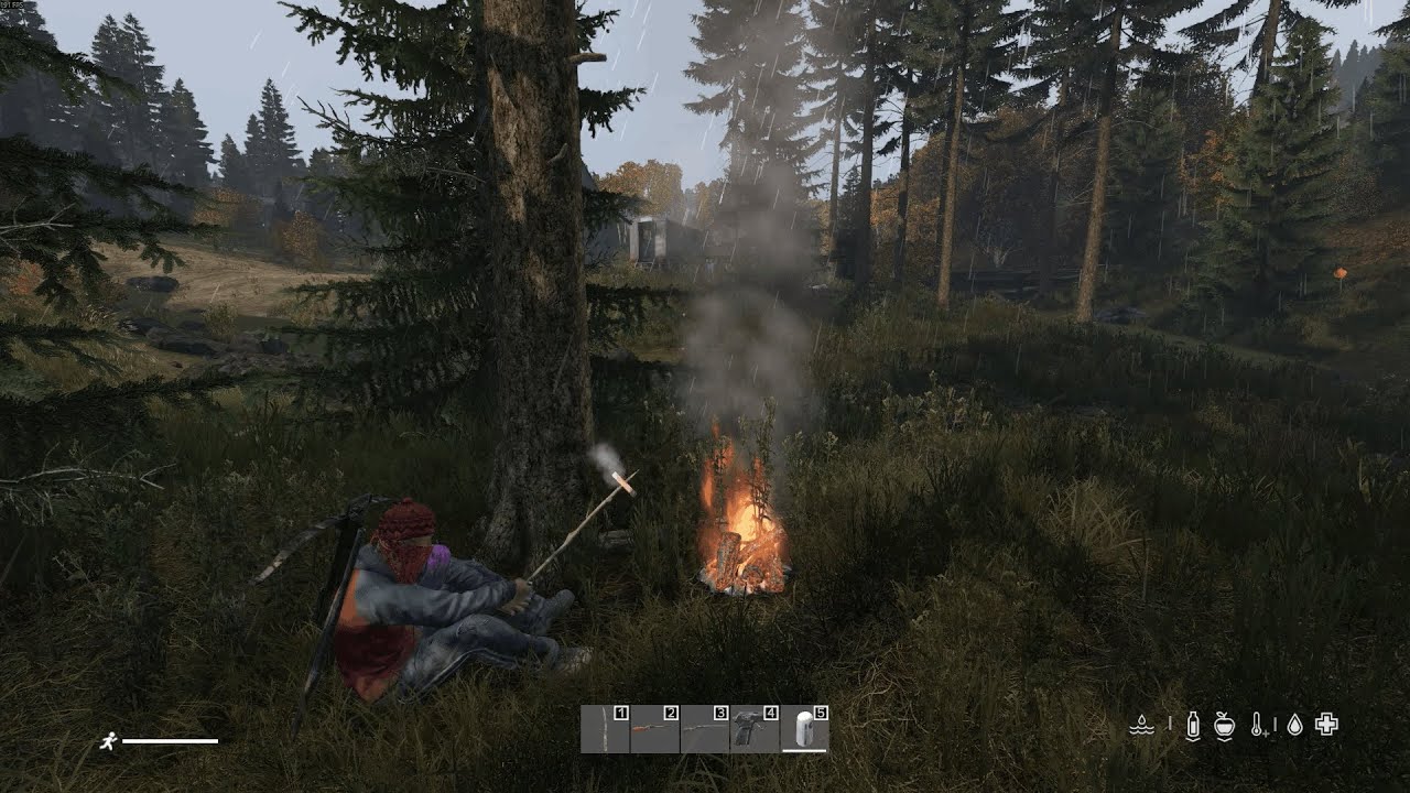 nice dayz adventure