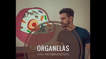 O que é uma organela não Membranosa?