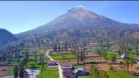 DESA EKSOTIS NAN ASRI LERENG GUNUNG SINDORO, DESA SIGEDANG, KEJAJAR WONOSOBO