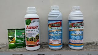 Phân biệt siêu lân kẽm usa, dưỡng rể mai vàng, abroot bung tàng mập thân 0902074660