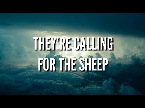 Lay - Sheep (Alan Walker Relift Lyrics)
