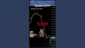 Cậu vàng đi đời rồi ông giáo ạ 😭 #bovagau #dautu #memes #cryptocurrency #bitcoin #trading