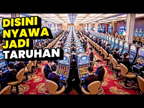 1 Variant Judi Online Terbaik: Pastimenang Link Alternatif Kasino Online