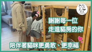 194 謝謝每一位走進貓房的你，陪伴著貓咪更勇敢、更幸福｜浪途｜