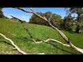 DJI Neo 2 Naturaufnahmen 4K