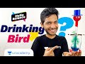 Heat Engine | Thermodynamics | Science of Drinking Bird | Hello Science | Vikrant Kirar