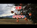 【望郷】カラオケ(元唄・中條なおと)