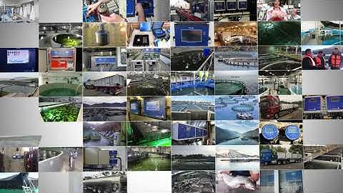 OxyGuard International