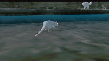 🐈Furious Cat VS 🐀Angry Rat, Boss Fight, Ultimate Cat Simulator