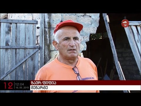 დემურ ფიფია ხელისუფლების მხრიდან ზეწოლაზე საუბრობს