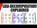 Understanding LU and LDU Decompositions