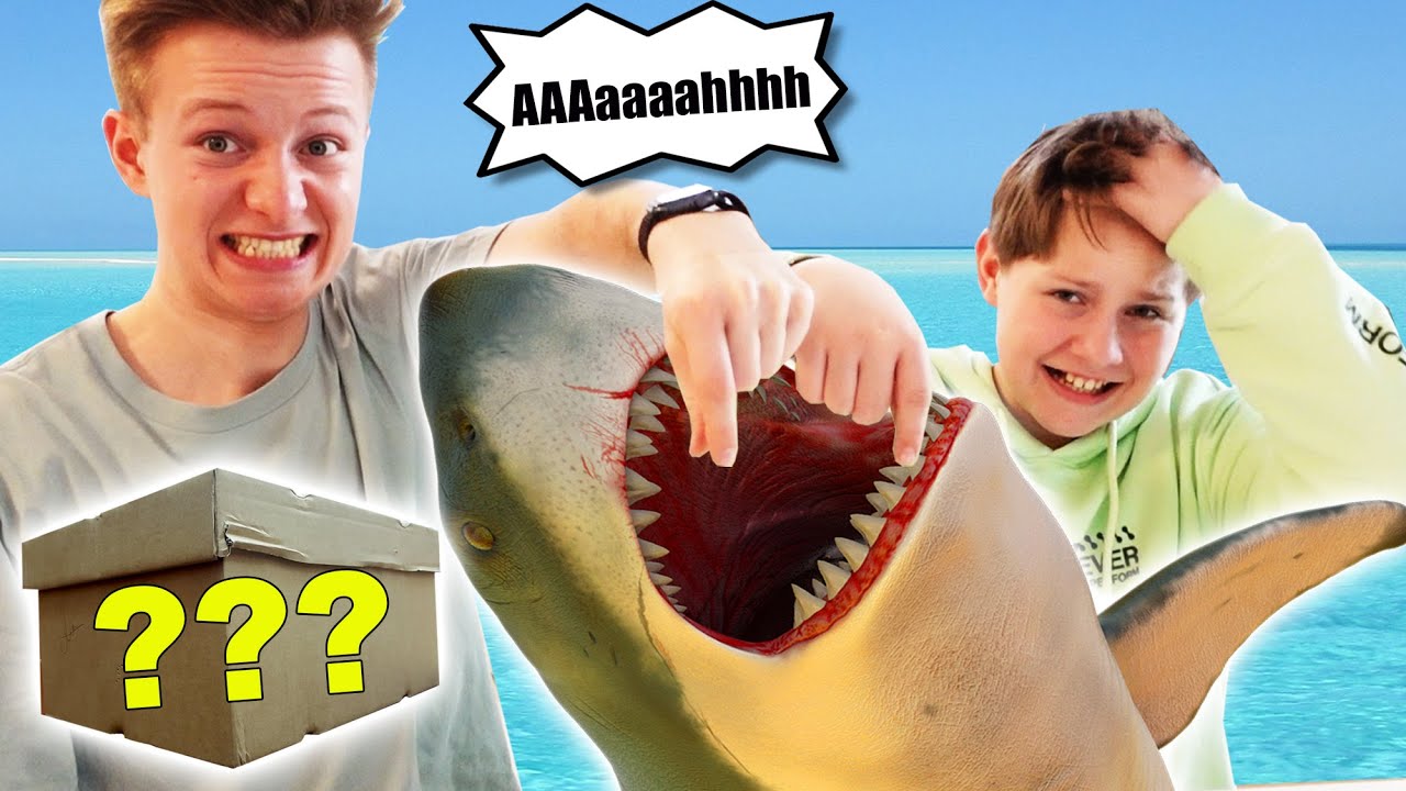 Update Shark Challenge + FETTE Bestrafung 🤣 TipTapTube