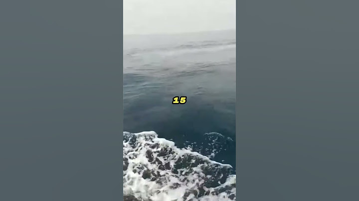 He found a wild boar 10 km from the shore 🐗🌊🚤
