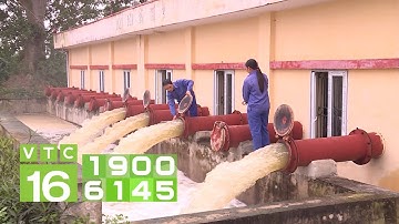 150 ngàn ha lúa "no" nước vụ Đông Xuân | VTC16