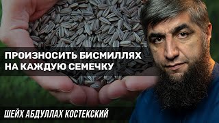 Произносить бисмиллях на каждую семечку