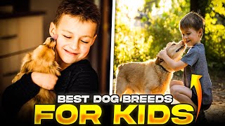 10 best dogs for kids || best dog breeds for kids by DogTalk 139 views 10 months ago 9 minutes, 8 seconds