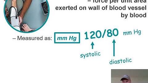 CG BIO202 / online Wk 6 (part B): Blood Pressure, and Pulse