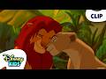 Simba and Nala Reunite