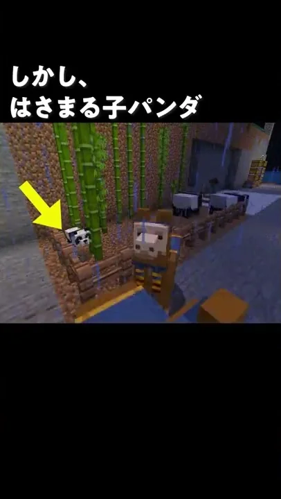 アーニャとパンダの中でマイクラ
