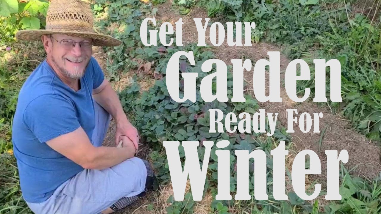 Preparing Your Garden for Winter | Protect Your Soil - YouTube