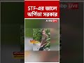 STF-এর জালে অর্পিতা সরকার #abpananda #shorts