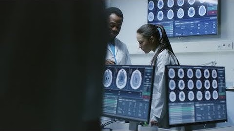 Medical Scientists in the Brain Research Laboratory Discussing Progress on the Neurophysiology |