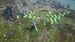 How To Wrangle The Chocobo In The Nibel Region In Final Fantasy 7 Rebirth