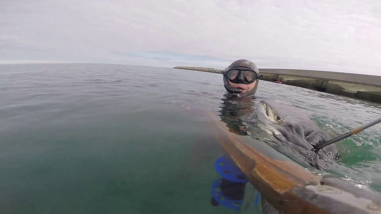 Hanstholm spearfishing YouTube