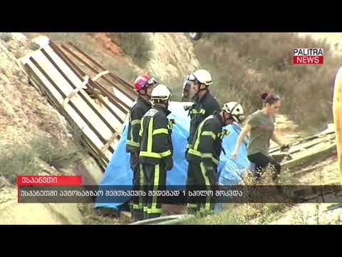 ესპანეთში ავტოსაგზაო შემთხვევის შედეგად 1 სპილო მოკვდა